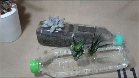 水耕容器diy|DIY水耕種植教學